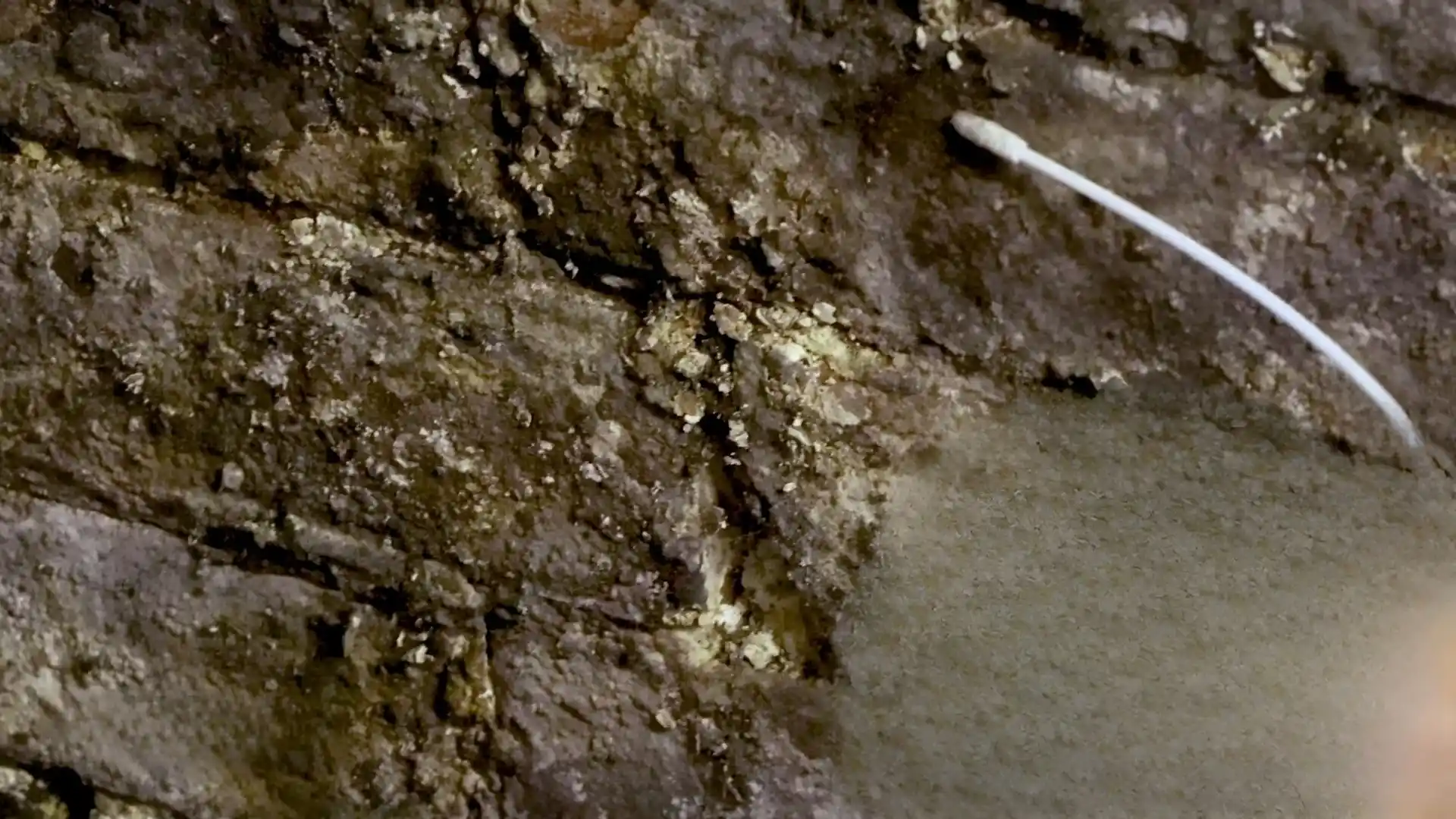 Close-up of a foundation wall crack with mineral deposits being sampled with a swab