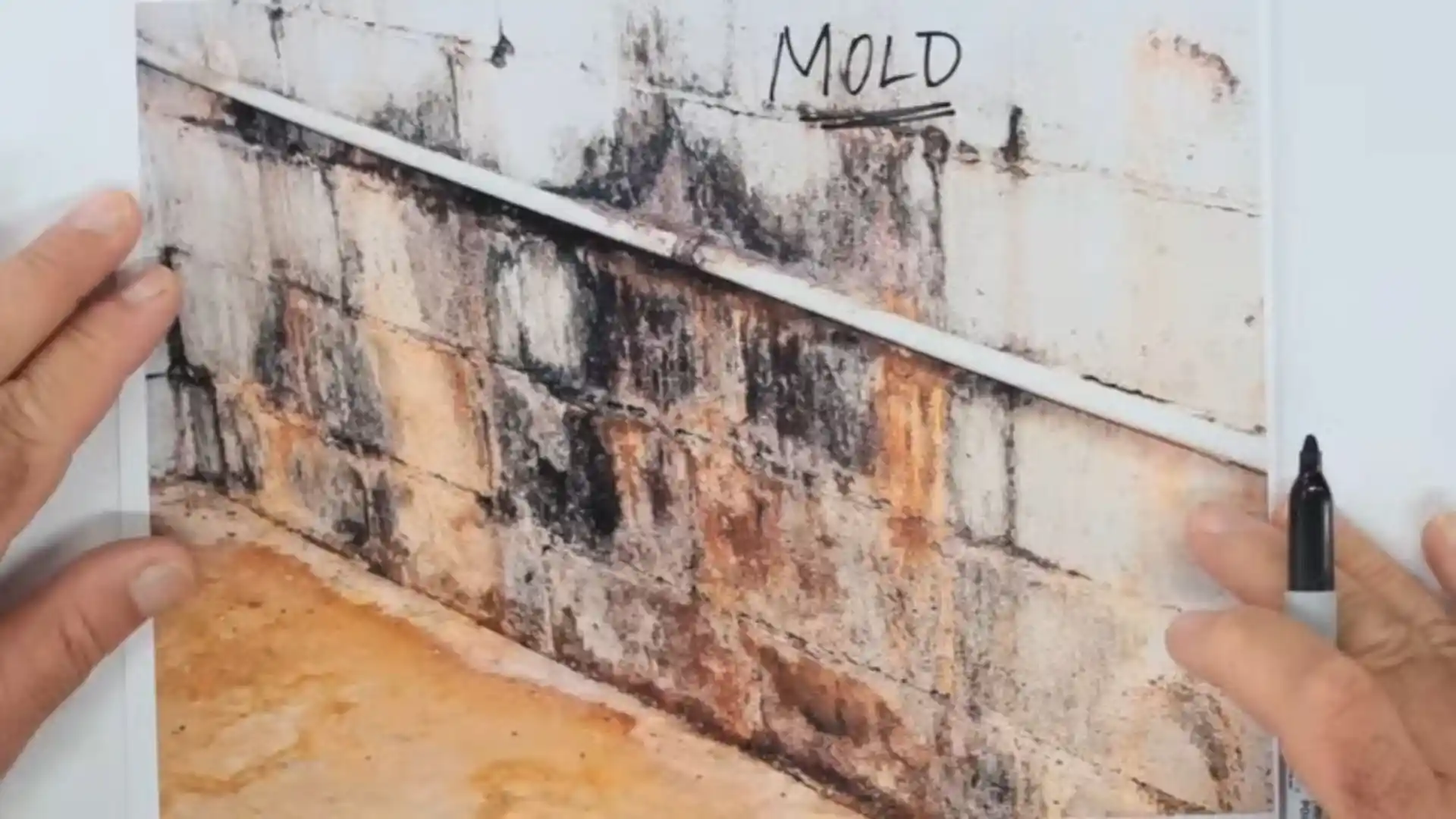 Inspection photo of black mold on a concrete block wall being marked up for documentation