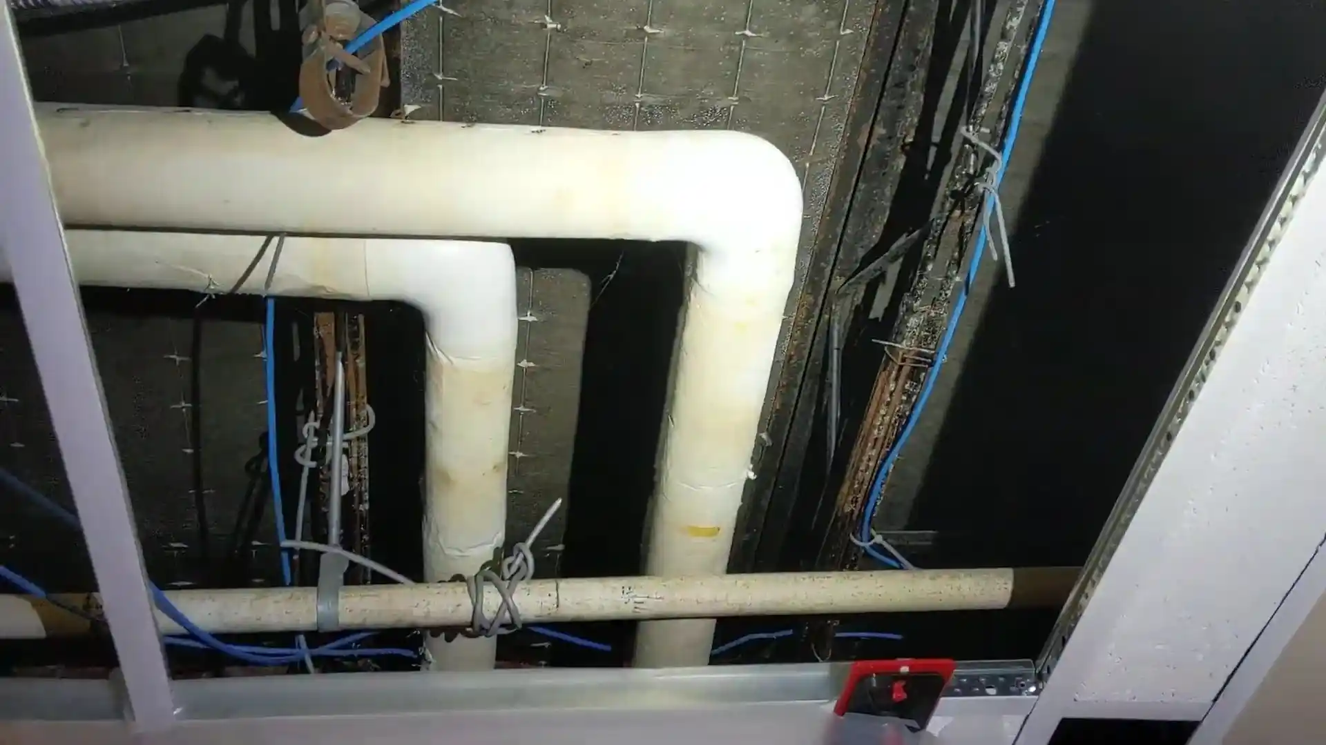 View above a dropped ceiling tile showing plumbing, wiring, and mold-darkened ceiling deck
