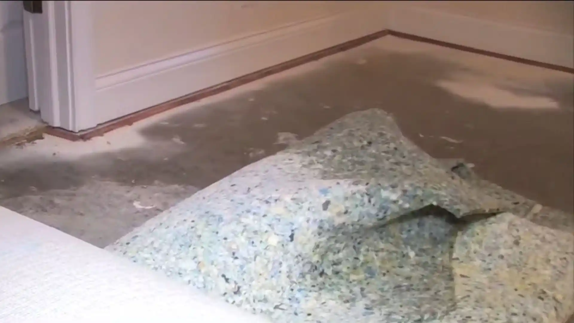 Torn-up wet carpet padding pulled back from a flooded room's concrete subfloor
