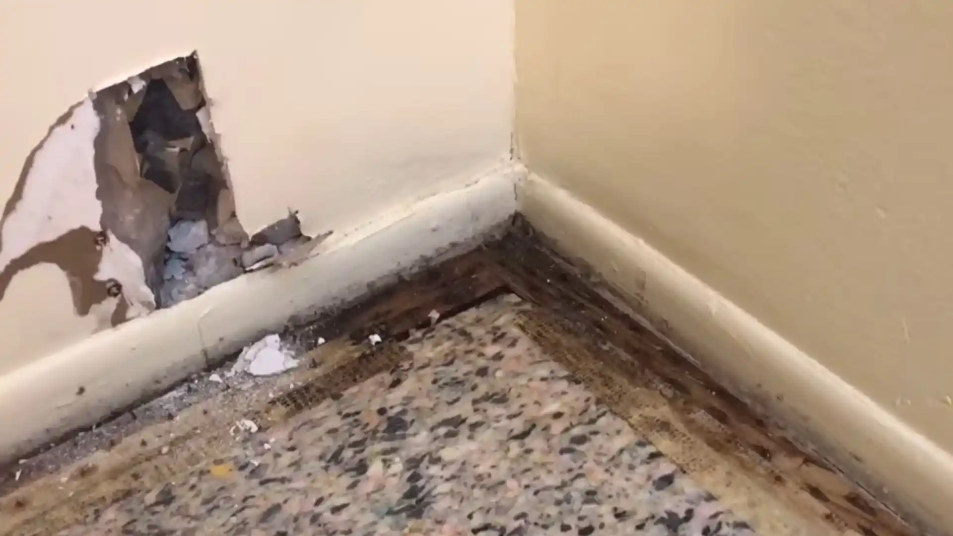 Damaged drywall with a hole and mold along a baseboard after water intrusion