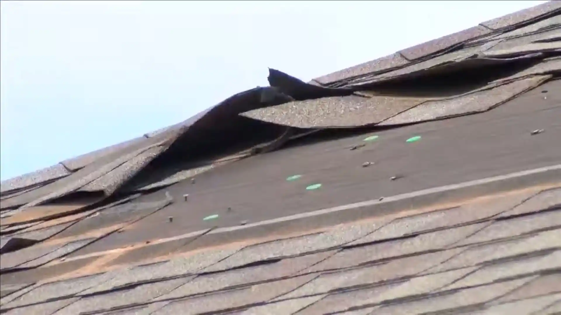 Close-up of storm-damaged, lifted roof shingles with inspection markers